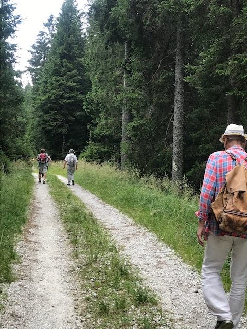 Wandertag für Vereinsmitglieder: Slowenischer Weitwanderweg auf dem Pohorje-Gebirge (15 km, leicht hügelig, 330 m Auf- und Abstieg)
